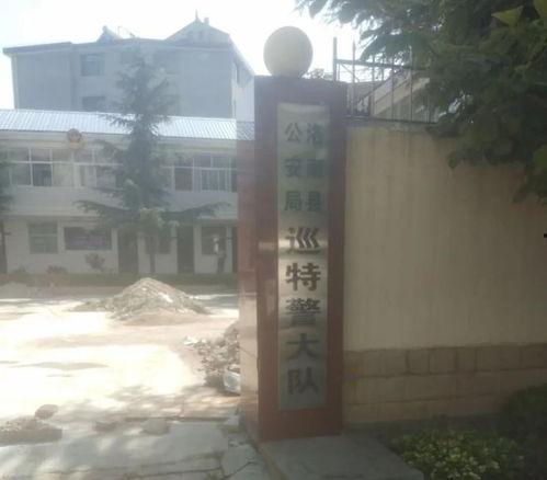 洛南爆料最新消息,最新消息揭示惊人内幕！  第3张